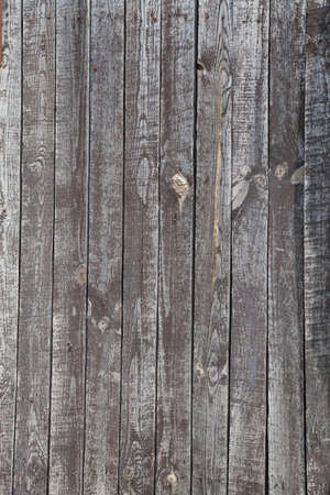 the structure of the tree of wooden backgroundの写真素材