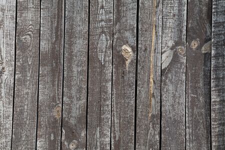 the structure of the tree of wooden backgroundの写真素材