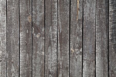 the structure of the tree of wooden backgroundの写真素材