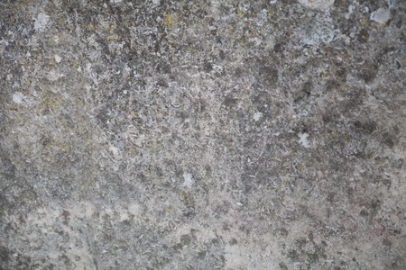 the structure of the stone the stone backgroundの写真素材