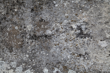 the structure of the stone the stone backgroundの写真素材