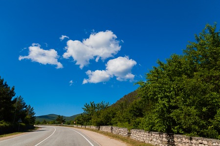 forest road and blue sky its beautifulの写真素材