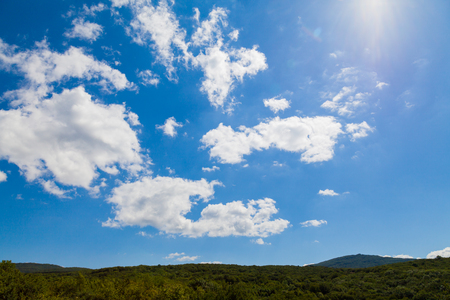 forest green blue sky and clouds its beautifulの写真素材