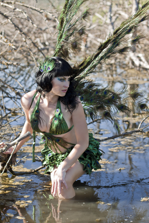 girl bird in the Green swamp fashionの写真素材