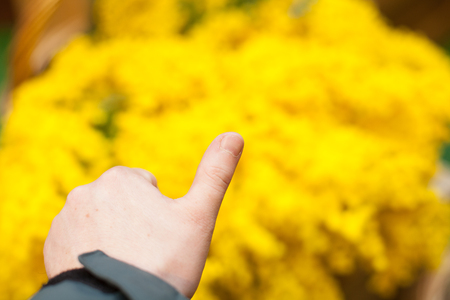 hand thumb up on yellowの写真素材