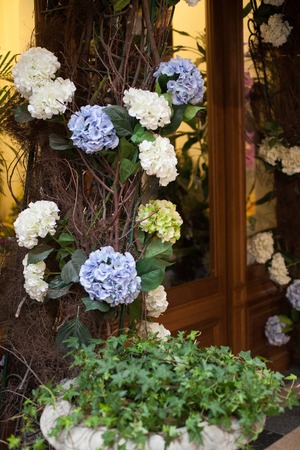 entrance decorated with flowers blue white springの写真素材