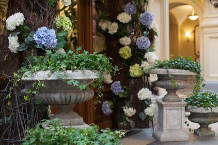 entrance decorated with flowers blue white springの写真素材