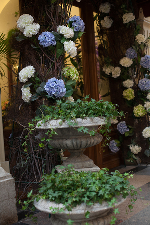 entrance decorated with flowers blue white springの写真素材