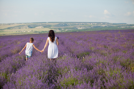 mother and son strolling along the purple lavender fieldの写真素材