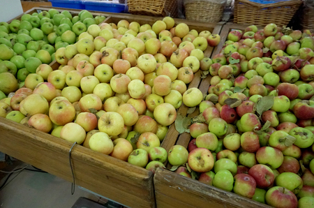 apple red green on the shelf in the storeの写真素材