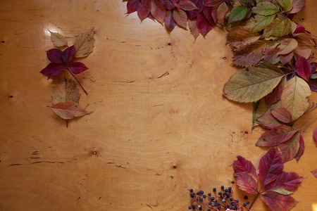 Red and yellow autumn leaves on wooden backgroundの写真素材