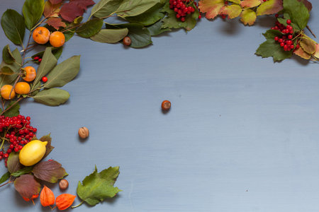 Red and yellow autumn leaves fruit nuts on a grey background