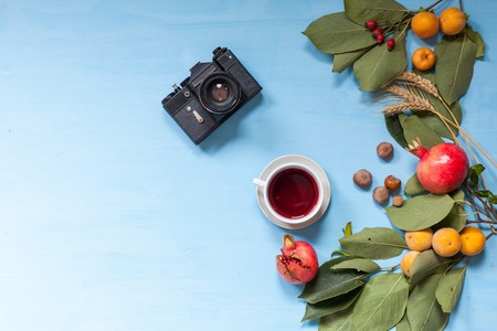 autumn fruits, nuts, pomegranate on blue backgroundの写真素材
