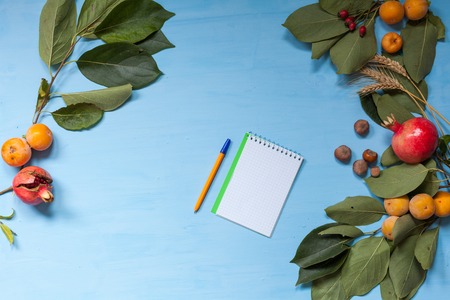 autumn fruits, nuts, pomegranate on blue backgroundの写真素材