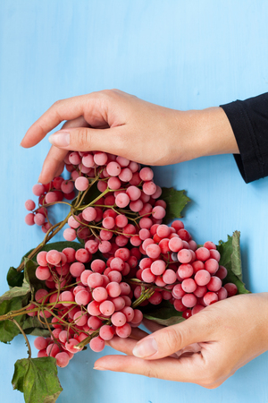 Christmas background with gifts and Christmas tree tea cup fruitの写真素材