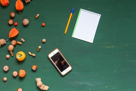 autumn yellow and Red leaves and fruits on a green backgroundの写真素材