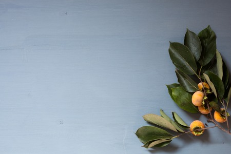 autumn background red and yellow leaves nuts fruitの写真素材