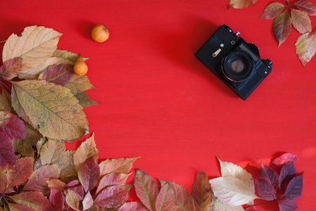 autumn yellow and Red leaves wooden background old camera