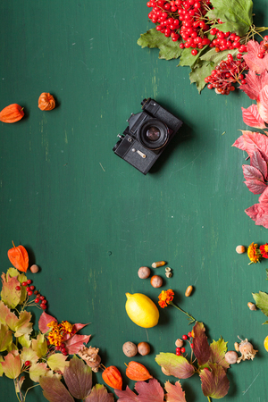 autumn yellow and Red leaves wooden background old cameraの写真素材