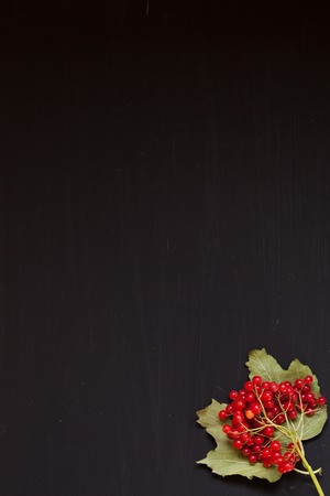 autumn background yellow and Red leaves of berries fruits nutsの写真素材