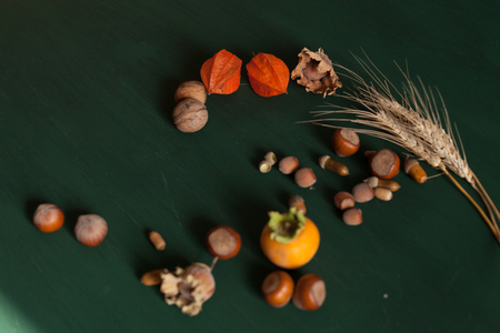 autumn background yellow and Red leaves of berries fruits nutsの写真素材