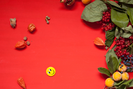 autumn red and yellow leaves fruit nuts fall backgroundの写真素材