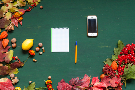 notebook entries on the phone entries leavesの写真素材