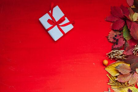 yellow and red leaves gifts autumn red postcard backgroundの写真素材