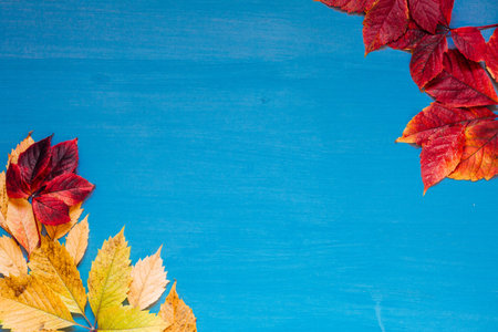 Red and yellow leaves of autumn chill gray