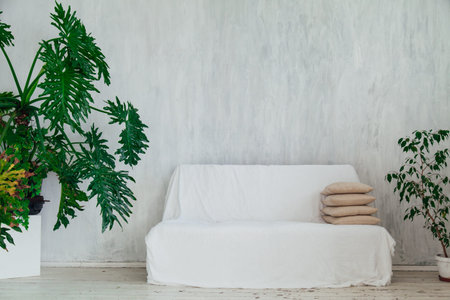 chair with home plants in the interior of the gray room