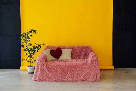 pink sofa with a plant in the interior of the room with a yellow backgroundの写真素材