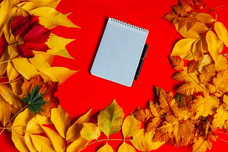 yellow red leaves autumn background notepad notes postcardの写真素材