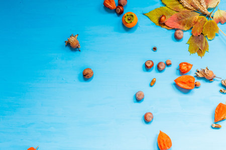 autumn background yellow and Red leaves of berries fruits nuts fall