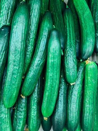 lots of ripe green cucumbers to eat like a background
