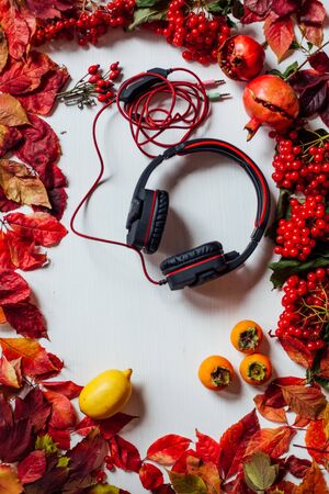 music headphones red and yellow leaves of fruitの写真素材