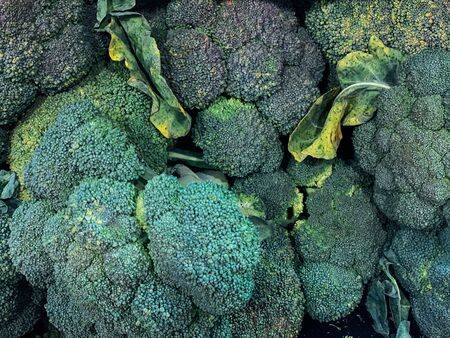 lots of green broccoli for eating like a backgroundの写真素材