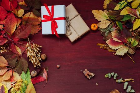 Autumn background red yellow leaves gifts holidayの写真素材