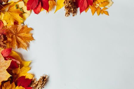 autumn background red and yellow fallen leaves place for inscriptionの写真素材