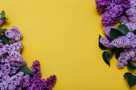 flowers blooming spring on a yellow backgroundの写真素材