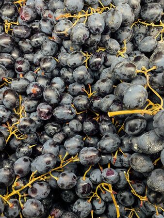 lots of ripe grapes to cook a backgroundの写真素材