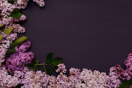 lilac flowers in spring against a dark backgroundの写真素材