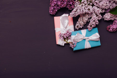 lilac flowers in spring against a dark background