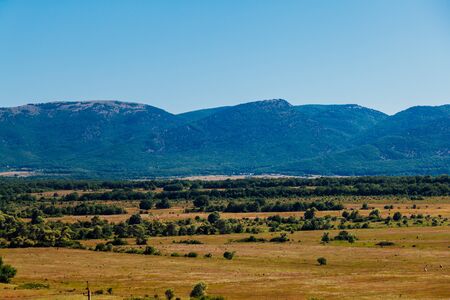 landscape of beautiful forest nature with fields and blue skyの写真素材