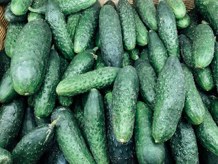lots of ripe cucumber for cooking background