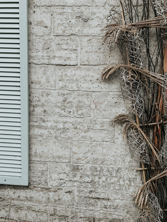 old grey vintage wall decorated with dry background plants