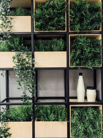 shelves with green plants with white bottles in the interiorの写真素材