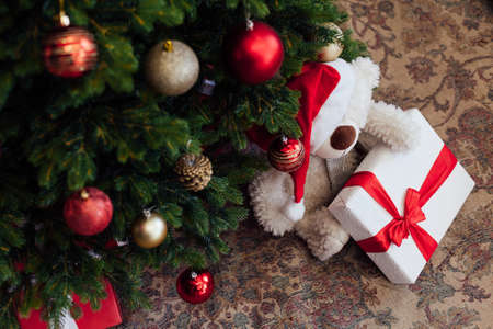 Christmas tree with gifts new year pine decorの写真素材