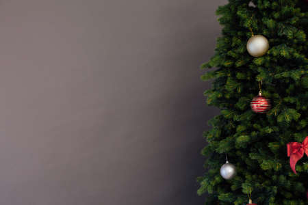 Branches of the Christmas tree pine place for the inscription of the new year gray backgroundの写真素材