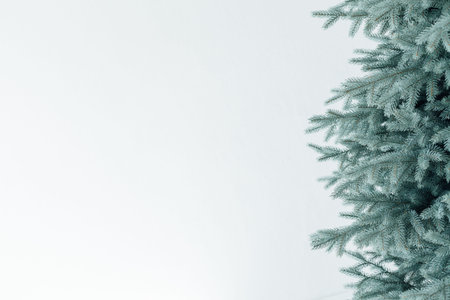 Christmas tree decor holiday new year place for inscription