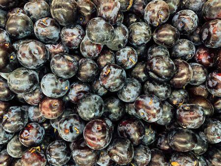 lots of ripe sweet plums for eating as a backgroundの写真素材